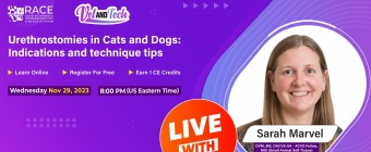 Urethrostomies in Cats and Dogs: Indications and technique tips