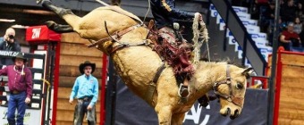 CANADIAN WESTERN AGRIBITION