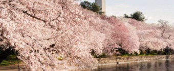 Survival Skills for Today's Gynecologist Spring 2024: Optimize Menopause, Ultrasound, Urogynecology, and Office-based Procedures in Your Practice