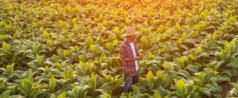 EXPO AGROFUTURO