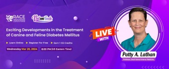 Exciting Developments in the Treatment of Canine and Feline Diabetes Mellitus