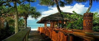 Mayo Clinic Gynecologic and Breast Imaging Review - Naples, Florida - December 9-13, 2024