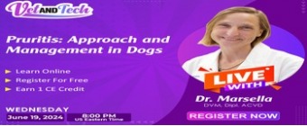 Pruritus: Diagnostic Approach and Management in Dogs