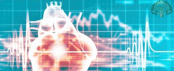 Global Conference on Cardiology
