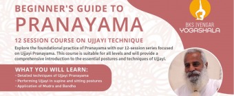 Beginner's  Guide to Pranayama