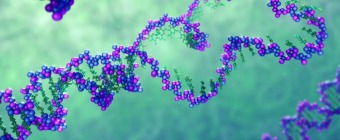 Global Summit on Structural Biology and Protein Science