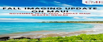 Fall Imaging Update on Maui