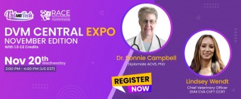 DVM Central Expo: November Edition with 1.5 CE Credits
