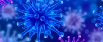 International Conference on Cell science and Molecular Biology