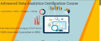 Data Analyst Course in Delhi, 110050. Best Online Live Data Analytics Course in Delhi NCR by IIT and MNC Working. [ 100% Job in MNC] 