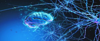 Mayo Clinic Stimulation Therapies for Epilepsy 2025