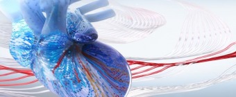 Interventional Cardiology Review Course for Boards and Recertification