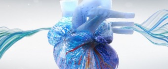 Electrophysiology Review for Boards and Recertification