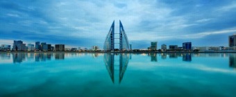 Mayo Clinic Cardiovascular Review in Bahrain: Case-Based Approach