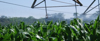 Climate Change and the Global Harvest