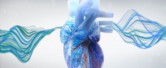 Webinar: Electrophysiology Board Review Insights: Atrial Arrhythmias Virtual Town Hall