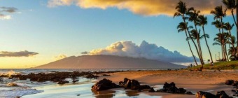 Mayo Clinic Tutorials in Diagnostic Radiology - Maui, Hawaii - January 11-15, 2026