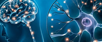 International Conference on Neurology and Neuroscience