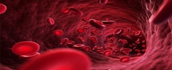 9th Annual Hematology and Oncology for NPs and PAs