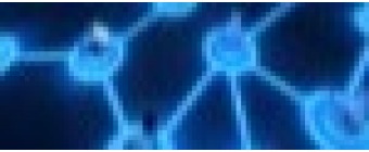11th International Conference of Networks, Communications,  Wireless and Mobile Computing (NCWC 2025)