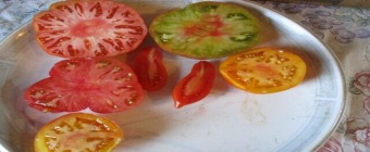 Heirloom Tomato Tasting with Larry Wagner