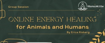 Online Energy Healing for animals and humans (Group Session)