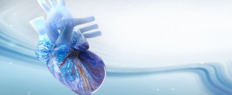 Cardiovascular Board Review for Initial Certification and Recertification