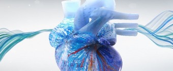 2025 Electrophysiology Online Board Review