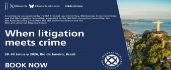 When litigation meets crime