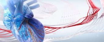 2025 Interventional Cardiology Online Board Review