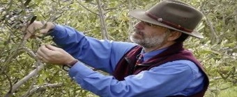 Caring for Your Fruit Trees | A Pruning Seminar with Paul Vossen