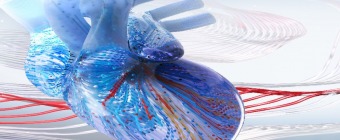 2025 Interventional Cardiology Online Board Review