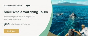Hawaii Ocean Rafting