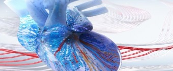 Interventional Cardiology Review Course for Boards and Recertification