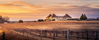 (AVS) Alabama Vascular Society 2026 Annual Meeting - July 30 - August 1, 2026 - Braselton, GA
