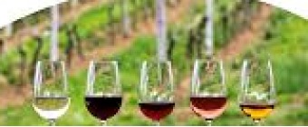 WINETECH