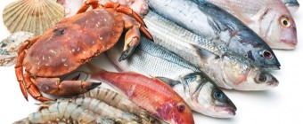 WORLD SEAFOOD SHANGHAI + SIFSE