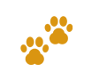 Animals & Pets
