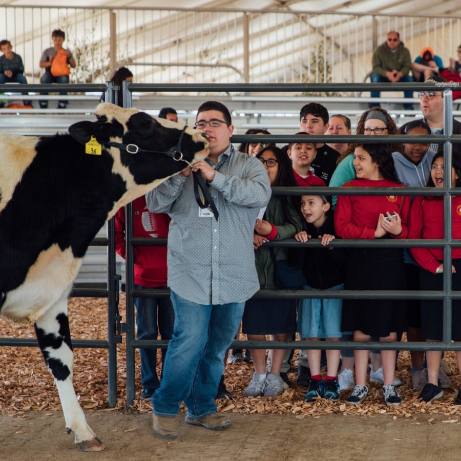 World AG Expo (Feb 2024), Tulare County, United States Exhibitions