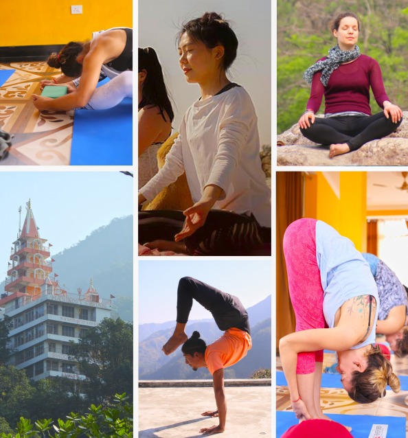 Yoga Teacher Training in Rishikesh, Yoga Teacher Training in Rishikesh, India
