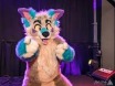 Painted Desert Fur Con