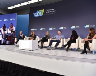 Consumer Electronics Show, Consumer Electronics Show