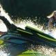 Toronto International Boat Show, TORONTO INTERNATIONAL BOAT SHOW