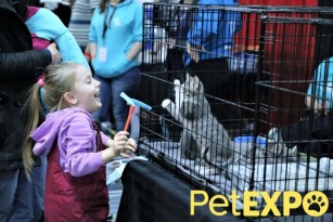 Edmonton Pet Expo, Edmonton Pet Expo