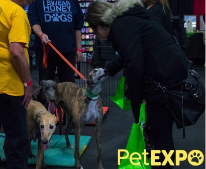 Pet Expo 2024, Edmonton Pet Expo