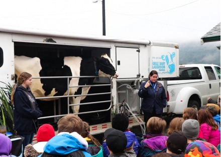 Islands Agriculture Show, Islands Agriculture Show