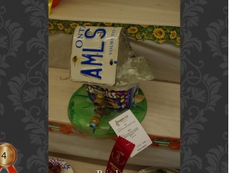 OAAS, OAAS Convention
