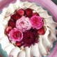 Garden, GARDENIA