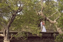 South Coast Wedding Fair & Wedding Trail