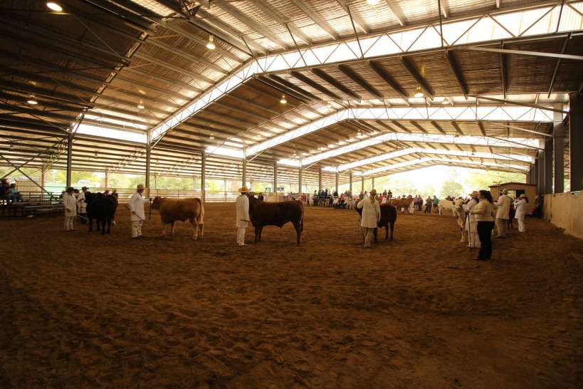 Armidale & New England Show, Armidale & New England Show